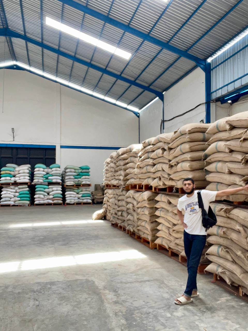 PT Indocoffee Global Export Prepares Major Harvest Season from Ijen–Bondowoso Region with Expanded Global Supply Capacity