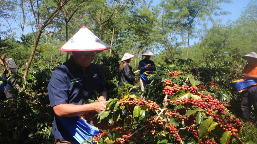 Bondowoso Coffee Farmers Strengthen Sustainability and Global Collaboration