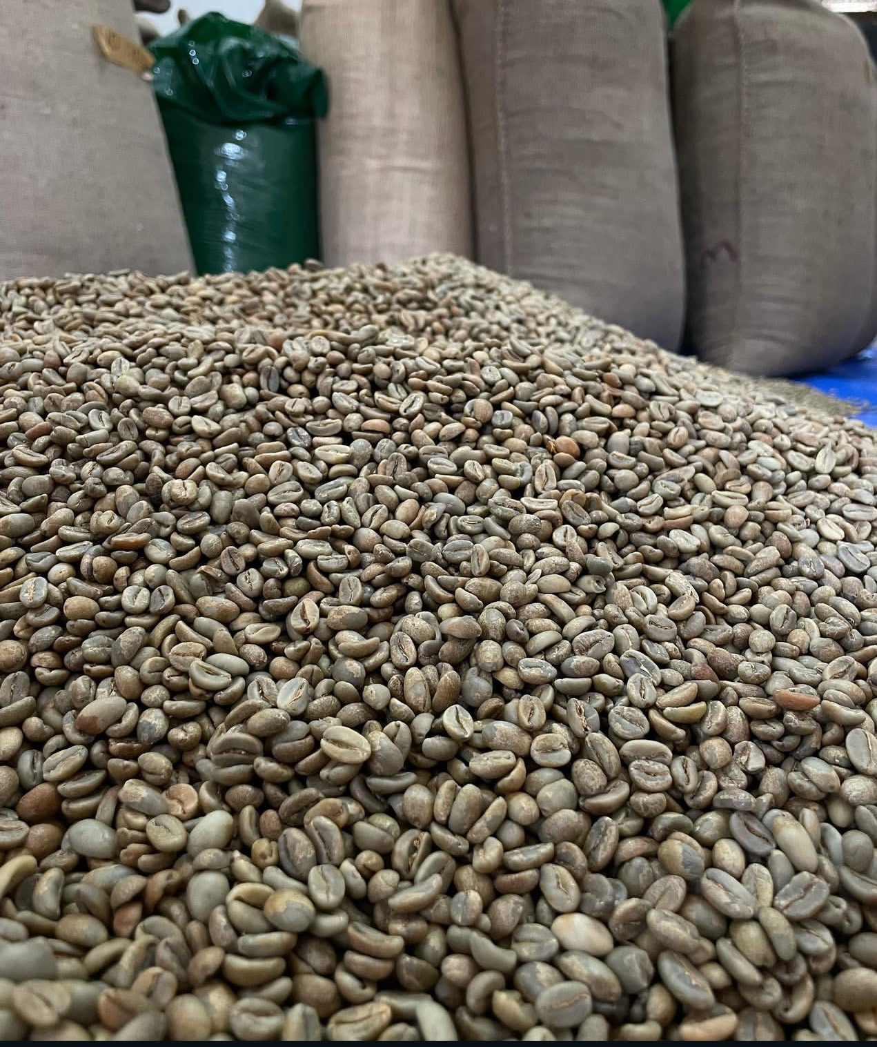 Green Bean Arabica Natural