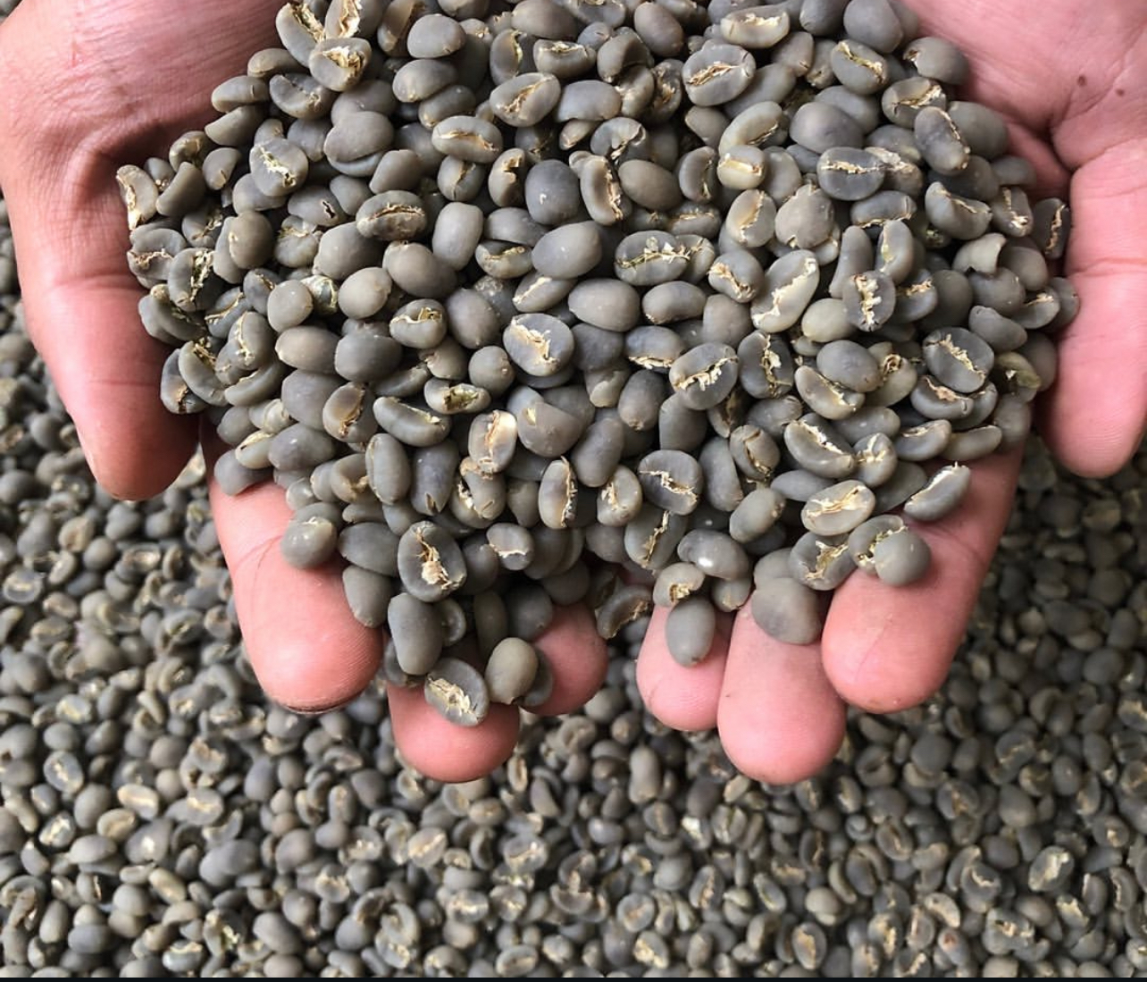 Green Bean Arabica Semi-Wash